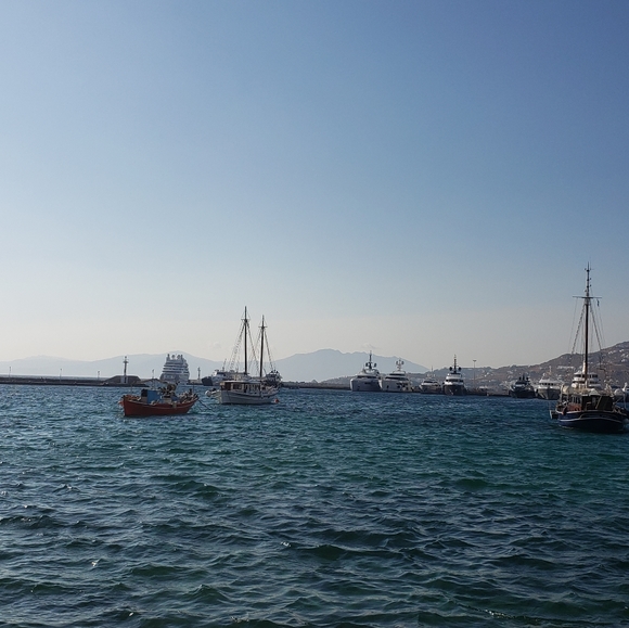 Meet your Posher, Alexis - Picture 3 of 6